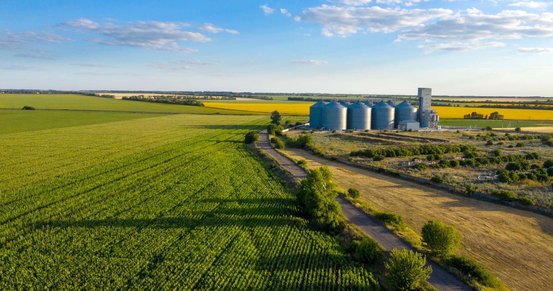 farm field with feed mills